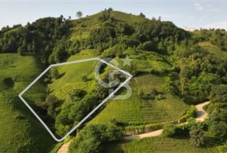 OF KUMLUDERE'DE SATILIK 2.623 M² ARAZİ — TRABZON / OF / KUMLUDERE K — Satılık — Coldwell Banker Lika ilanı