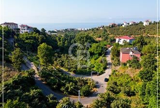 TRABZON BULAK'DA SATILIK 5.438 M2 ARAZİ — TRABZON / ORTAHİSAR / BULAK M — Satılık — Coldwell Banker Lika ilanı