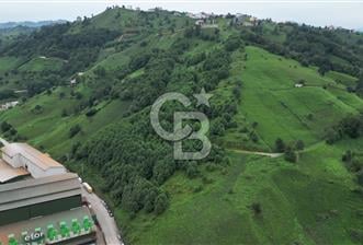 TRABZON OF ESKİPAZARDA SATILIK 5 DÖNÜM ARAZİ — TRABZON / OF / ESKİPAZAR M — Satılık — Coldwell Banker Lika ilanı
